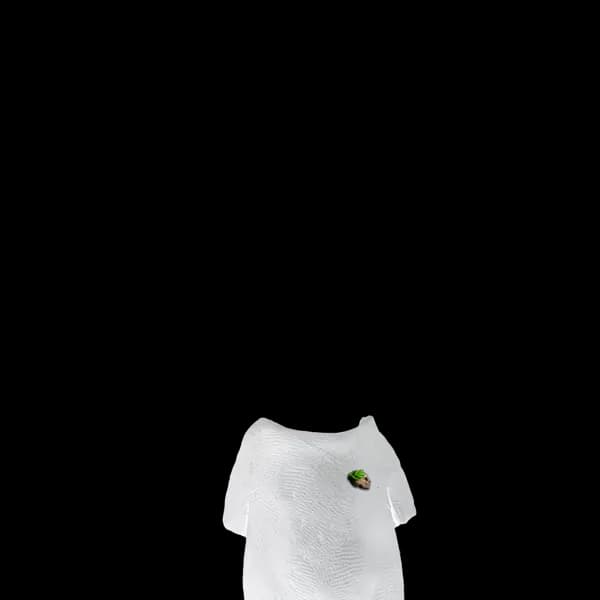 whitetshirt